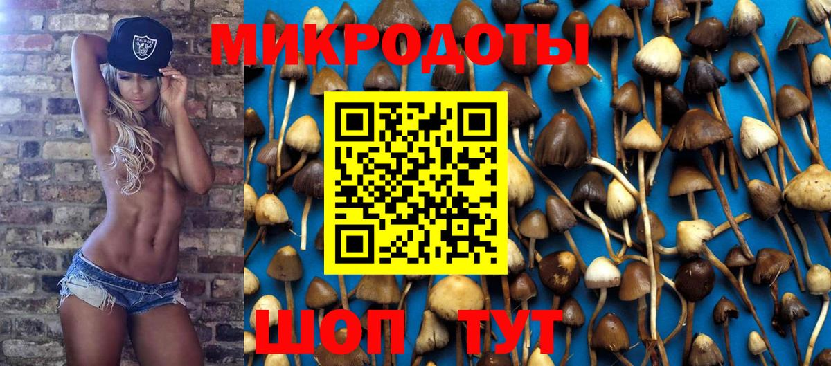 Псилоцибиновые грибы ЛСД Электрогорск