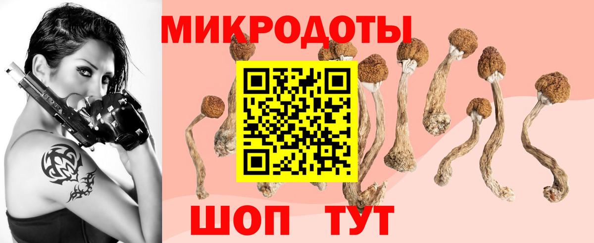 Галлюциногенные грибы GOLDEN TEACHER  Вход с VPN  Электрогорск 