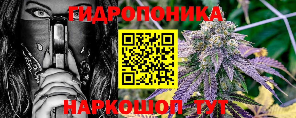 Конопля планчик Электрогорск